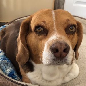 Meet your Posher, Gaylene